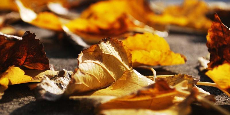 工业制造新引擎：精密加工中在线测量与补偿技术如何实现实时质量控制