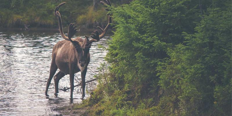 精密加工新突破：单晶硅等脆性材料的延性域磨削技术与亚损伤控制
