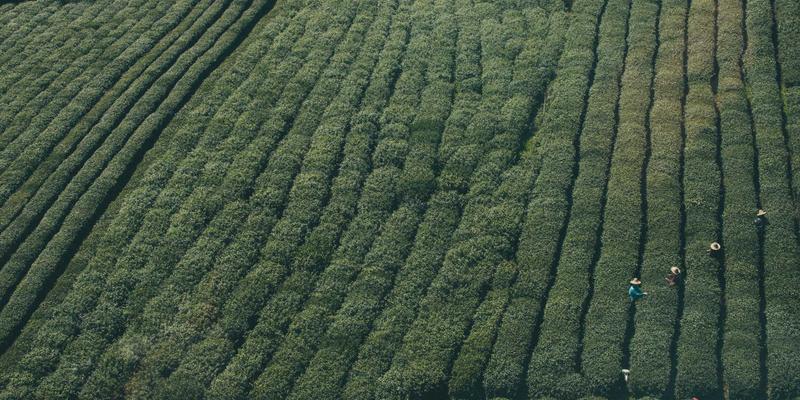 精德精密加工：恒温、洁净与防振三大环境控制系统如何保障精密零件质量